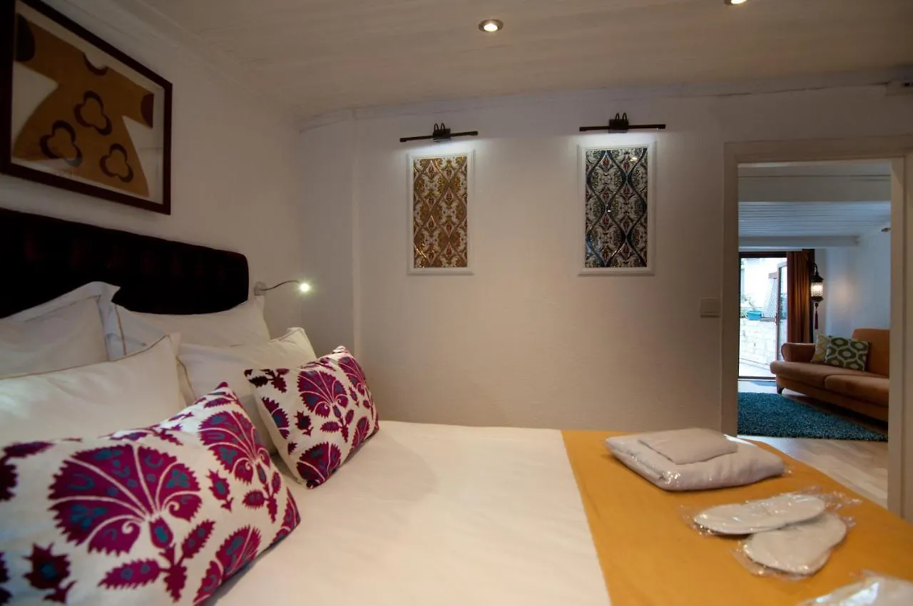 Blue Mosque Suites-Old City Sultanahmet Istanbul Apartment